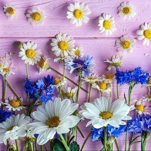 Meet your Posher, Timi